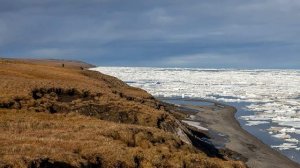 Географические экспедиции XVIII—XIX веков. Открытие Антарктиды.