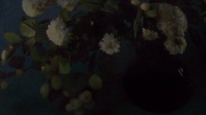 Я на тебе никогда не женюсь, я лучше съем перед ЗАГСом свой паспорт((наброски)