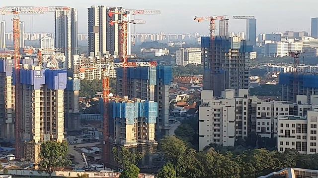 Parc Clematis Progress (19.06.2022)