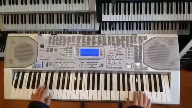 Casio CTK 800 || Test đàn organ|| Nhạc cụ Sunrise || Nhạc cụ Nghệ An смотреть онлайн