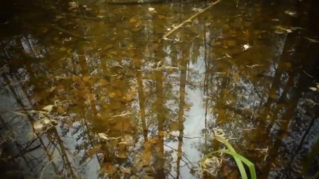 #Почему знания не дают результата смотреть онлайн