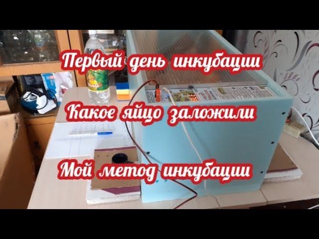Инкубация бройлера....(ия кобб500 испания) смотреть онлайн
