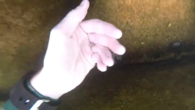 Что можно найти на дне озера, реки, водоема, поиск клада, прикол. смотреть онлайн