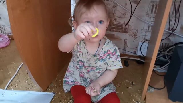 Вероника и корм для попугаев смотреть онлайн