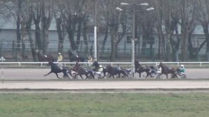 ЦМИ.Бега.11.11.12.Заезд 7(525). Французский приз.