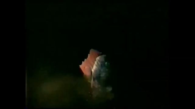 "DESTINATION INNER SPACE" Scott Brady, Sheree North, Gary Merril, Wende Wagner. 5-24-1966. (HD). смотреть онлайн