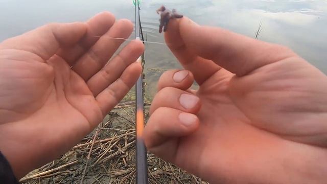 Ловля карася на маховую удочку. смотреть онлайн