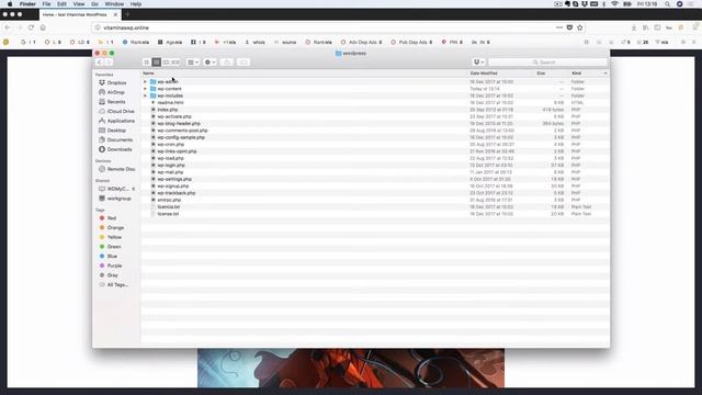 Estructura de Ficheros y Carpetas en WordPress смотреть онлайн