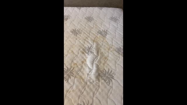 Лесные настроения и вдохновение