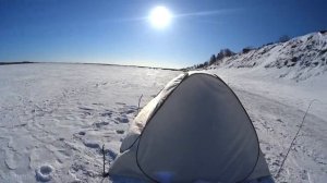 Весенний налим. Рыбалка на жерлицы. Северная Двина