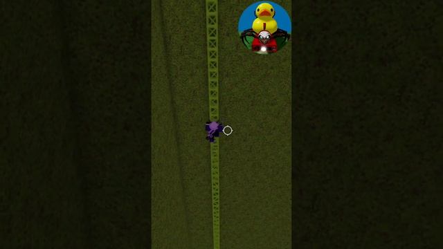 Charlie Rubber Duck - Find The Rubber Duck Morphs #shorts #roblox #morphs #rubberduck смотреть онлайн