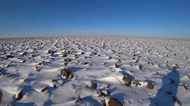 Охота на зайца с Т-34))) смотреть онлайн