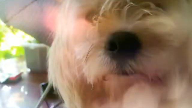 Великолепный Майки смотреть онлайн