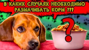 В каких случаях необходимо размачивать корм ?