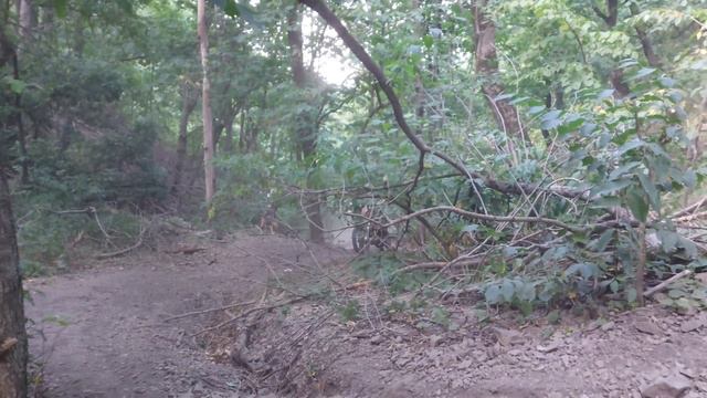 Горы Бештау (Малый и Большой Тау) 2023. Первые эмоции)) #Бештау #Пятигорск