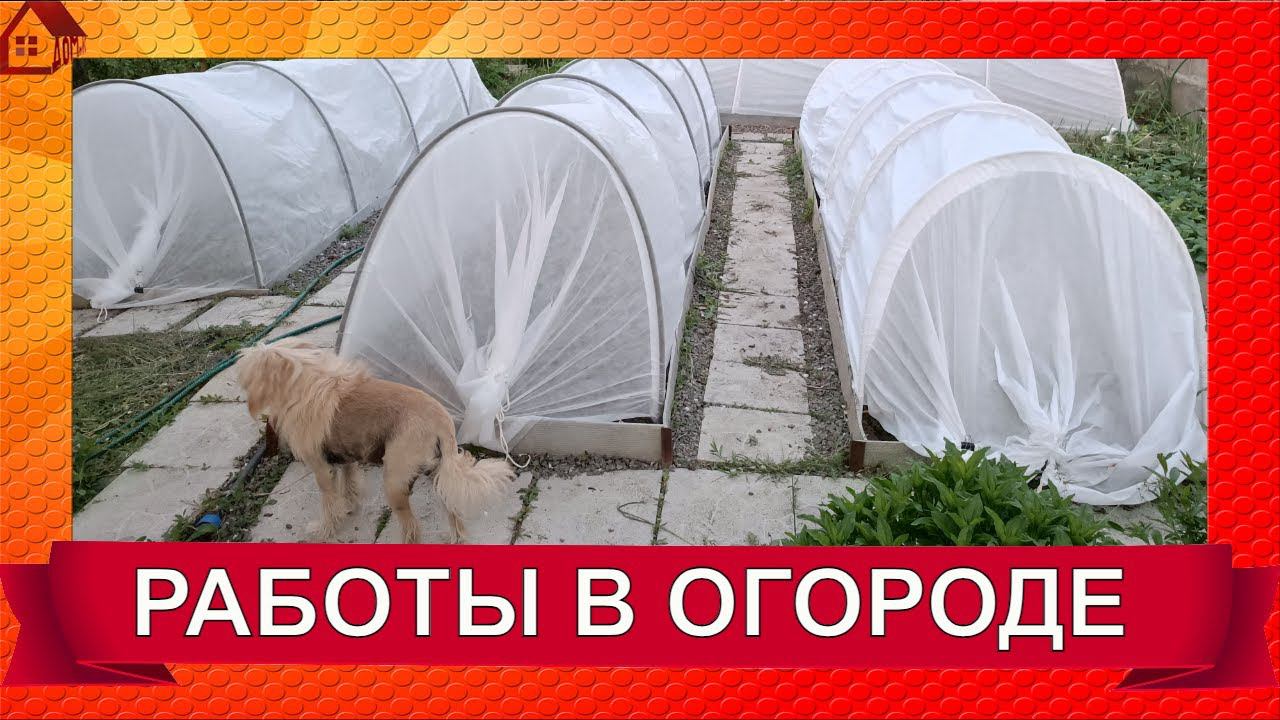 30 апреля работы в саду/Дневник садовода/Что уже сделано смотреть онлайн