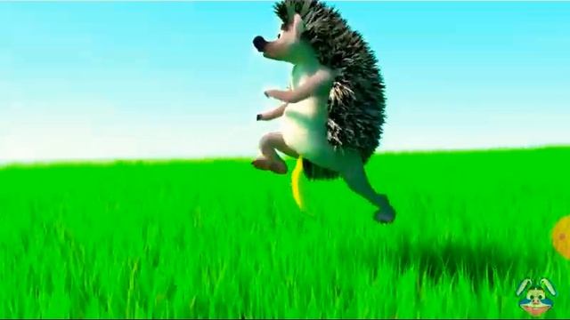 Ёжик по травке бежит и хохочет.