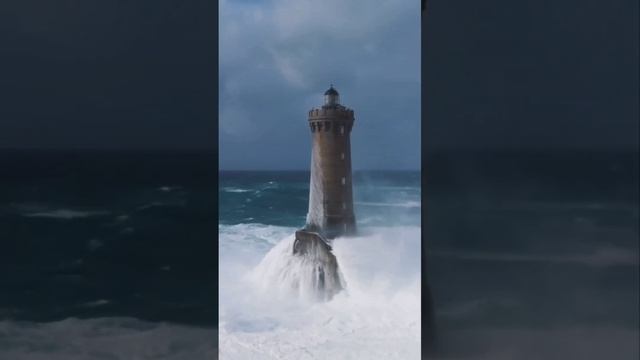 Работа с родом. Техника принятия исключенного. смотреть онлайн