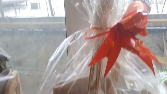 Новогодние подарки аксессуаров для сауны и бани. смотреть онлайн