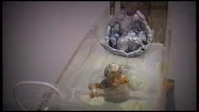 Luis Benedit смотреть онлайн