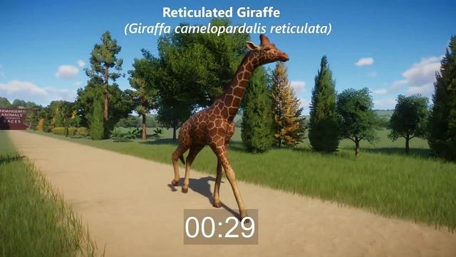 Endangered Animals Races in Planet Zoo included Giraffe, Indian Elephant & etc смотреть онлайн
