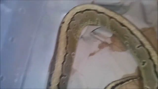 Ball Python GIVEAWAY! Long process but WELL WORTH IT!! Come check out my idea and try your luck! смотреть онлайн