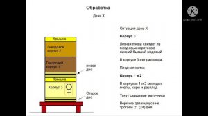 Пчеловодство в Германии. Обработка от клеща варроа путем разделения семьи.