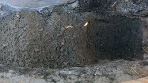 Это спасет твой ФУНДАМЕНТ!