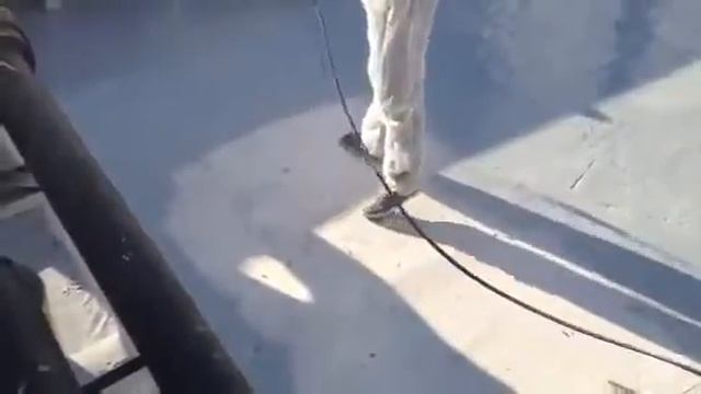 HYVST SPT 670 нанесение полиуретановой мастики Гипердесмо на крышу здания смотреть онлайн