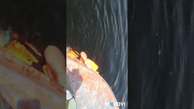 Томь лето отпуск Белый этап смотреть онлайн