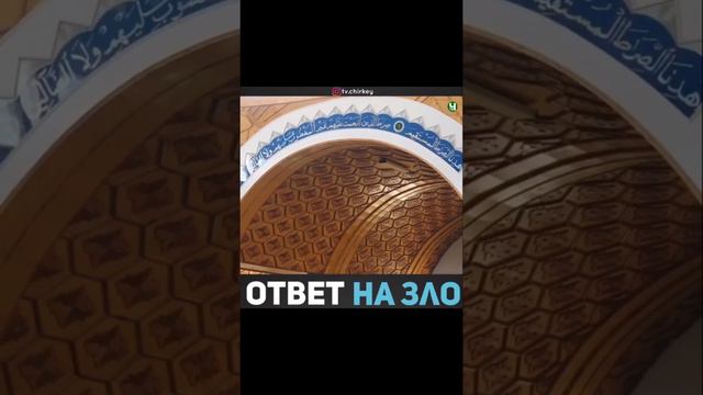 Идрис Х1ажи Асадулаев смотреть онлайн