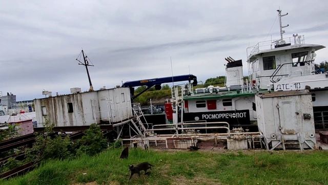 Плавучий кран КПЛ-16 и другие суда смотреть онлайн