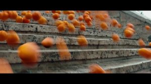 Чебурашка (2022).mp4