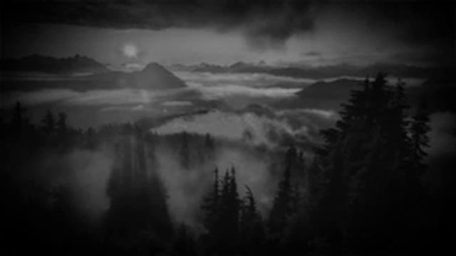 Умар Хишам 🌴 Очень красивое чтение Корана смотреть онлайн