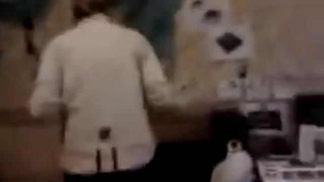 Лида и таракан смотреть онлайн