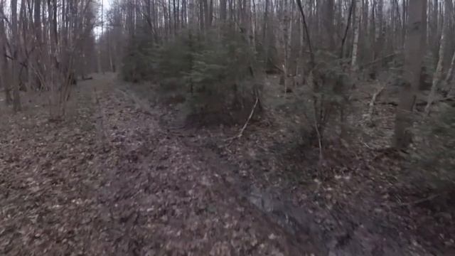 Think Outside. Знакомимся с геокешингом в Ступинском районе смотреть онлайн