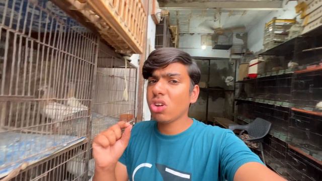 Hmara Pass Bacho Wali Cats Agai 😍 смотреть онлайн