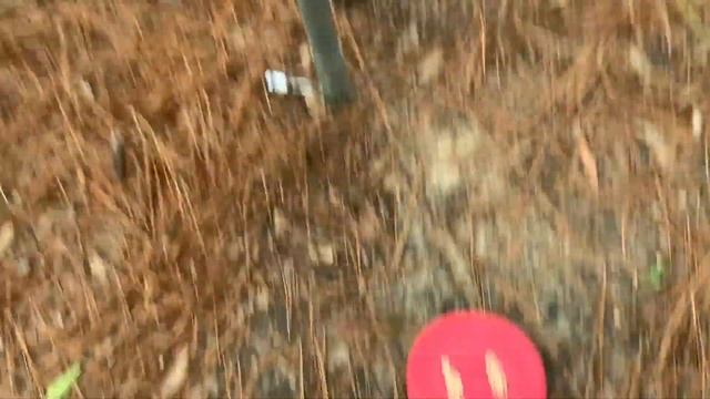 The Basics of Disc Golf | What is Disc Golf? | How to Play? смотреть онлайн