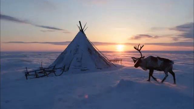 О чём поёт тундра смотреть онлайн