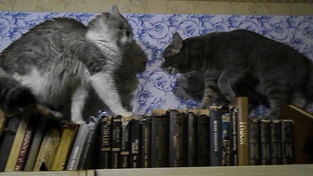 Ужасный ужас и жуткая жуть