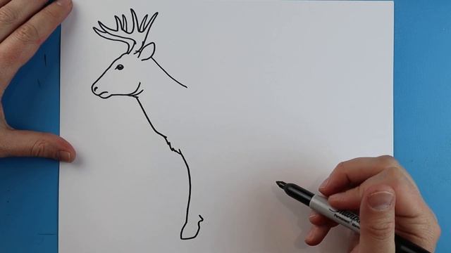 How to Draw a BUCK смотреть онлайн