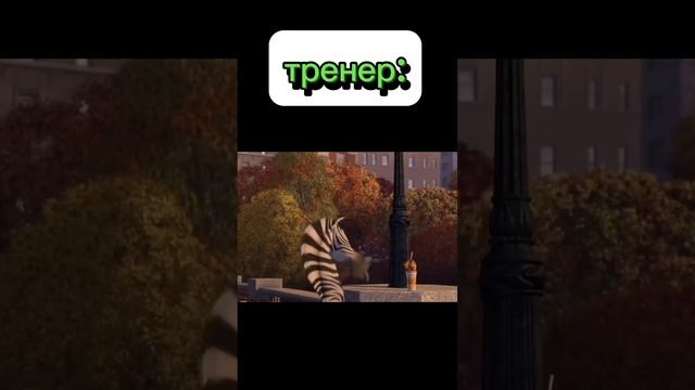 График тренера #shorts #юмор #приколы смотреть онлайн