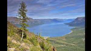 Таймыр - самый крупный полуостров России