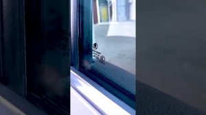 Разбираемся в автомобильных стеклах! Как определить дату выпуска стекла, страну производителя и др.