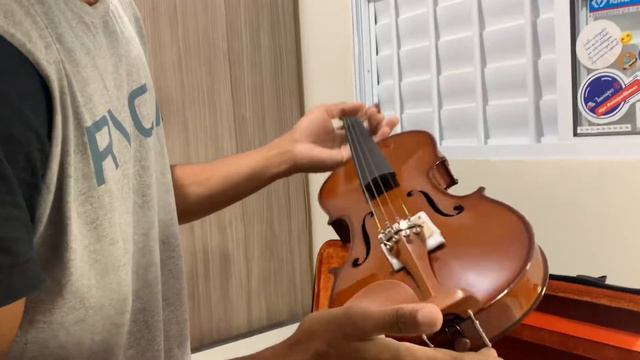 REVIEW VIOLINO EAGLE VE441 É BOM?!🎻 смотреть онлайн