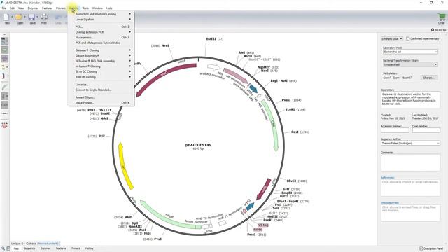 SnapGene And The Plasmid Cloning Cycle