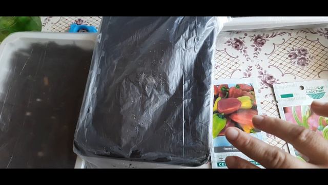 УЖЕ ФЕВРАЛЬ / ОПЯТЬ ЗА ХАЛЯВОЙ / ЧТО У МЕНЯ УЖЕ РАСТЁТ? #жизньзагородом #семена смотреть онлайн