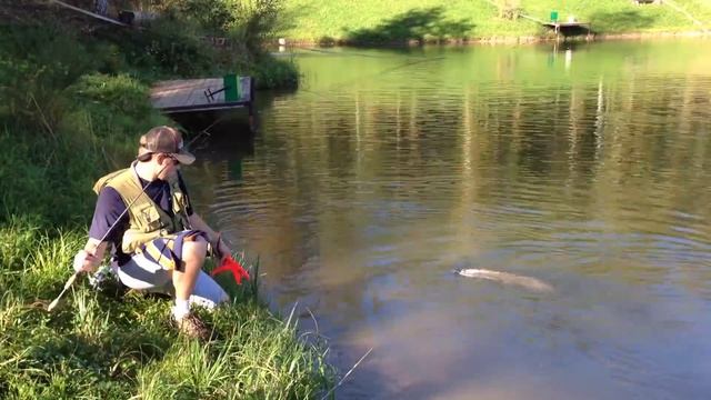 Охота на хищника в экопарке Веретьево смотреть онлайн