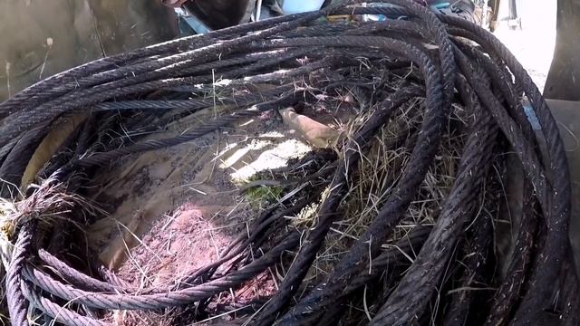 #Коп#Металла. За 3часа 720кг! Вернулись на тоже место! XP ORX по чермету!