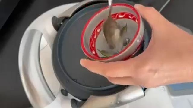 Секреты Творческого Прогресса